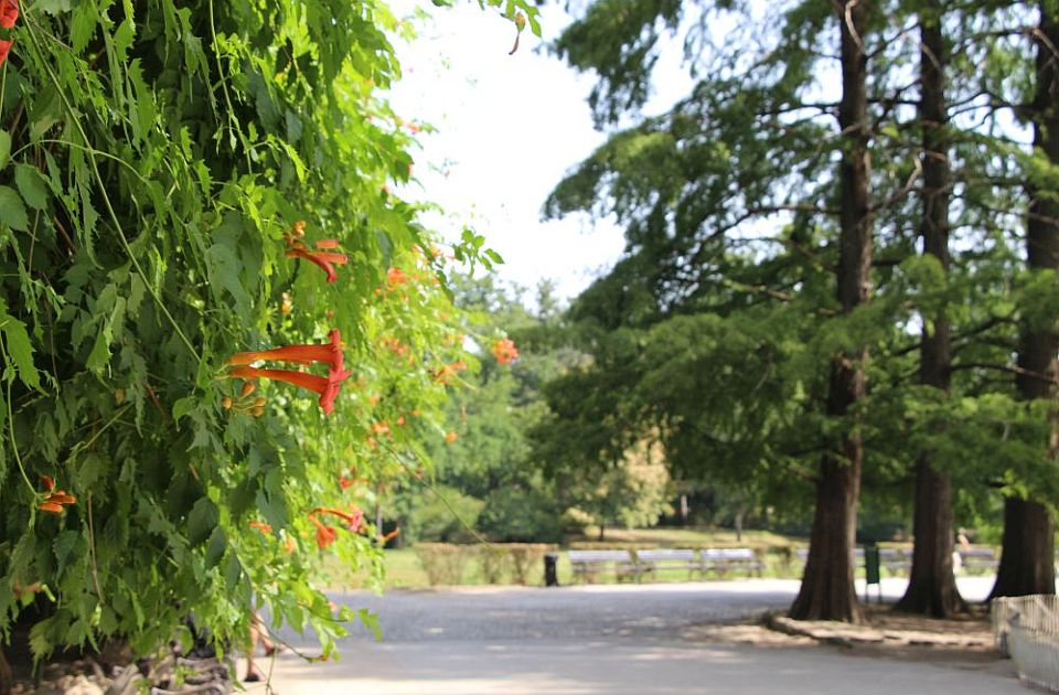 Petodnevna prognoza za Novi Sad: Malo kiše, više sunca i temperatura do 30 stepeni