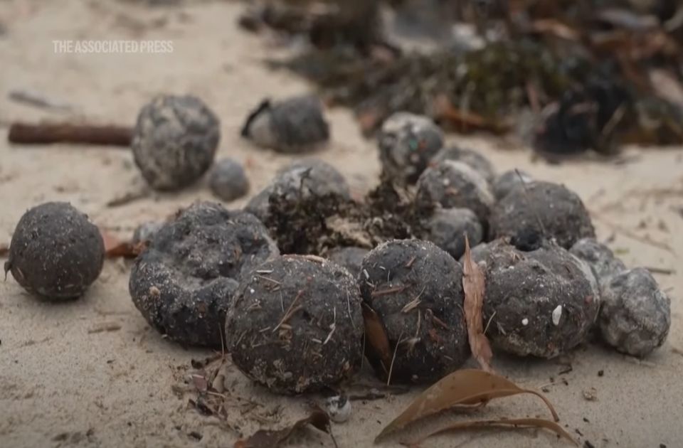 VIDEO: Plaže u Sidneju zatvorene zbog misterioznih crnih kuglica, sumnja se da su otrovne