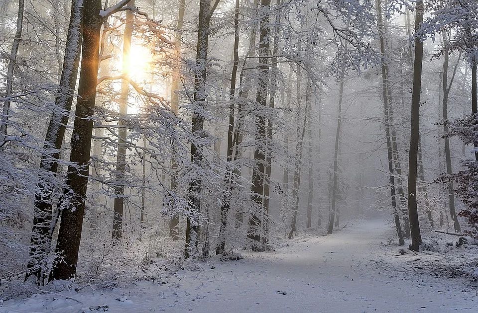 Sneg u aprilu: Na Kopaoniku više od 30 centimetara, padao i na Zlatiboru i Zlataru