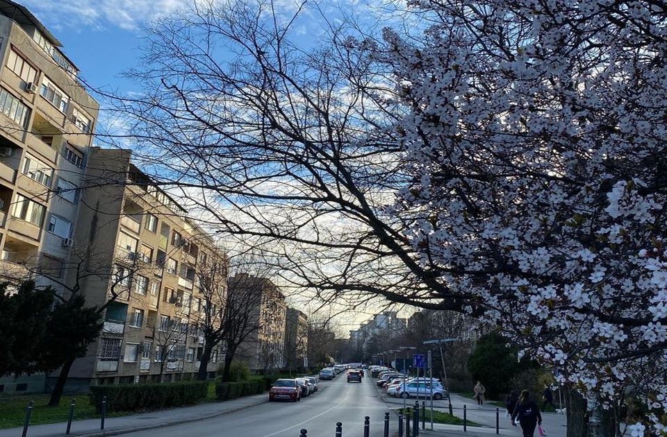 Sunčan četvrtak pred Novosađanima: Nove izmene režima saobraćaja, ali i mnogo dešavanja