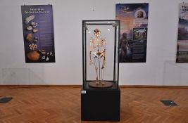  Svet pre civilizacije: Fosili iz beogradskog Prirodnjačkog muzeja u Vršcu