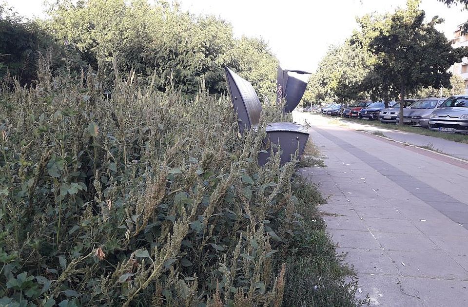 FOTO Građani pišu: Zelena površina na Telepu potpuno zapuštena, Grad kaže da će rešiti problem