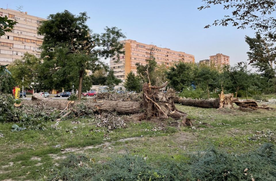 Kolika je šteta u Novom Sadu: Škole, vrtići, bolnice, parkovi, 96 vozila, 87 elektro vodova...