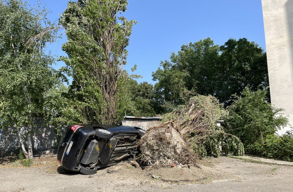 FOTO: Automobil stoji prevrnut nakon što je veliki jablan pao u Veljka Petrovića