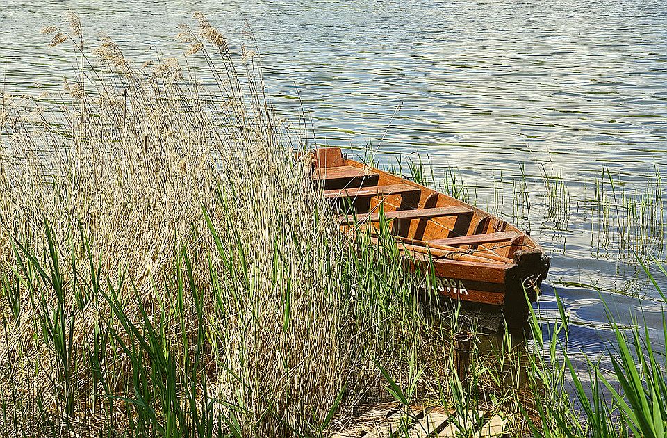 VIDEO: Tamiška regata u subotu - plovidba od Orlovata