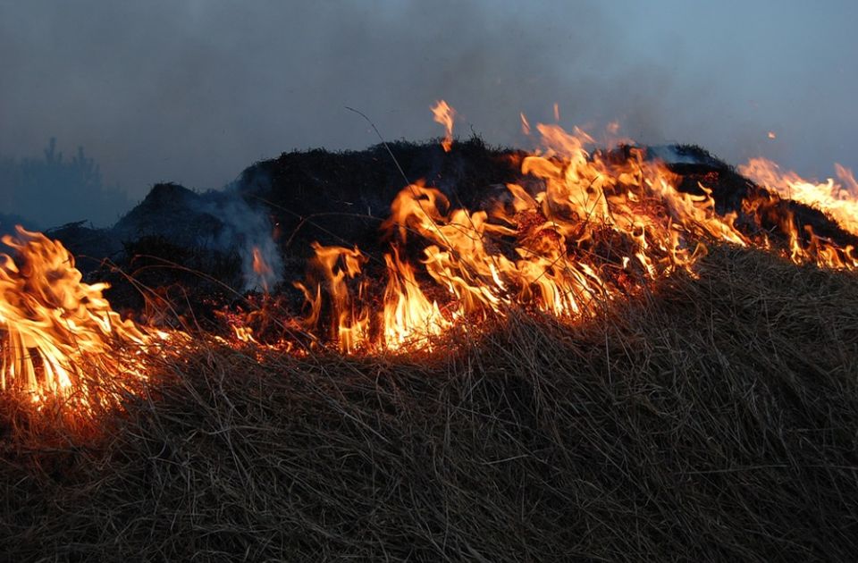 MUP apeluje na građane: Ne palite travu i drugo rastinje, kazne su do milion dinara