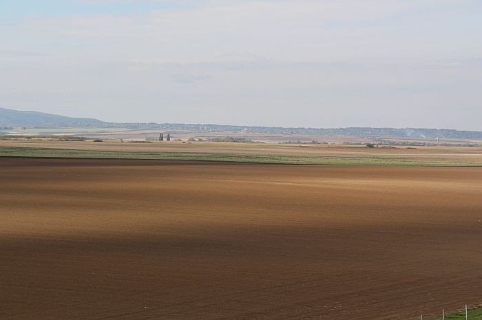 Naturalna restitucija pri kraju, osim u Vojvodini