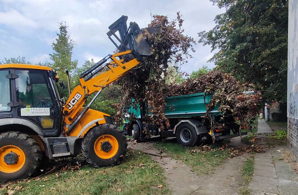 Limanski, Futoški i Železnički park u subotu se otvaraju za građane