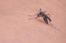 Prskanje protiv komaraca od danas na području Novog Sada, Beočina i Sremskih Karlovaca