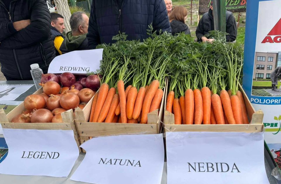 "Šargarepijada" otvorena u Begeču, tamičenje u kuvanju gulaša i izbor za najslađu šargarepu