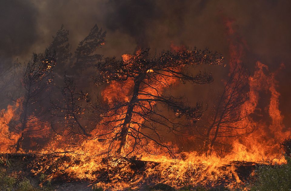 Izgorelo telo stočara pronađeno na ostrvu Eviji, treća žrtva vatrene stihije u Grčkoj