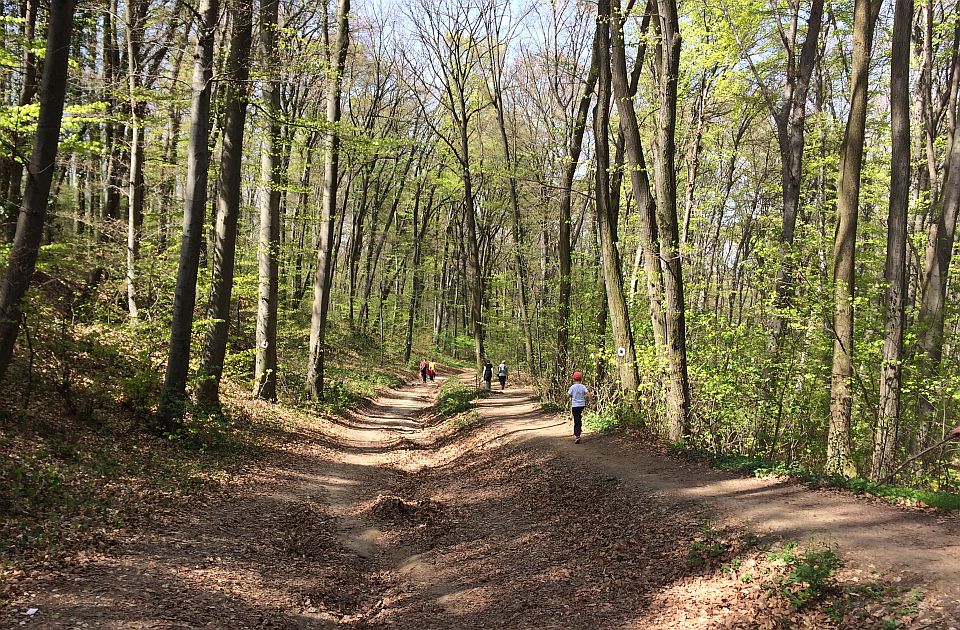 U subotu izmena saobraćaja u Sremskoj Kamenici, razlog - planinarski maraton na Fruškoj gori