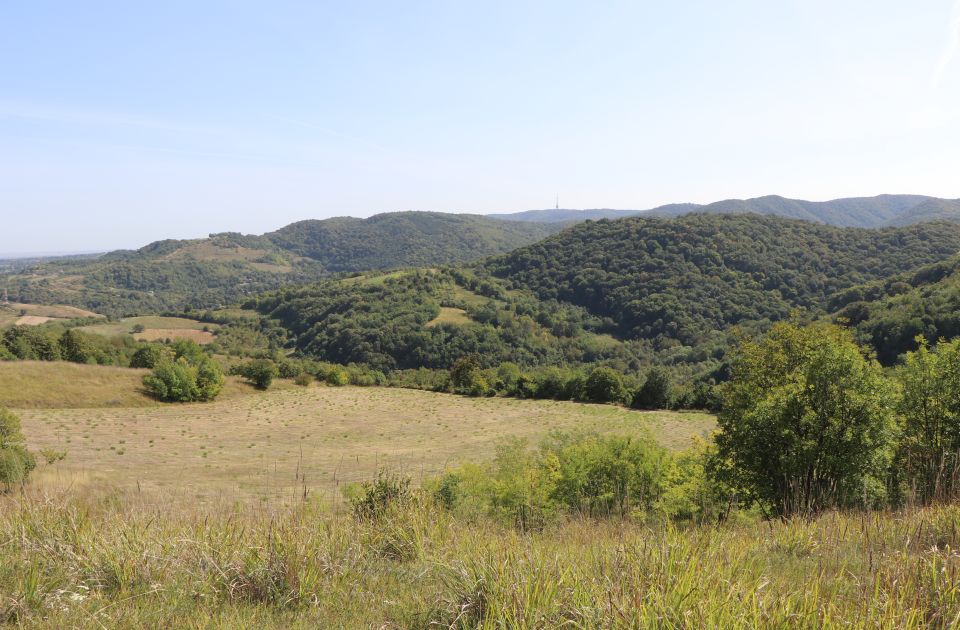 Gorska služba spasavanja najviše intervencija ima na Fruškoj gori - više je razloga za to