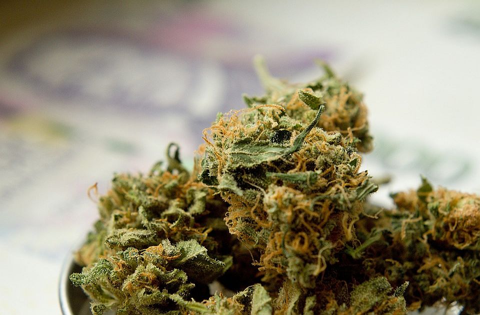 Zaplenjeno 32 kg marihuane u Subotici, dvojica uhapšena prilikom pokušaja primopredaje