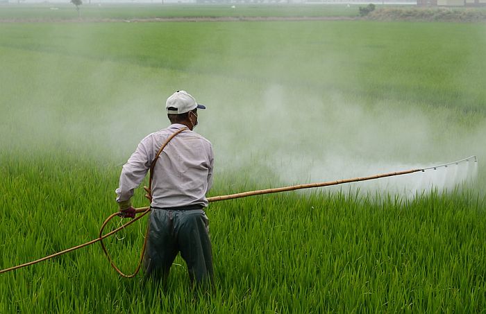 Poljoprivrednici će moći da koriste pesticide samo ako imaju sertifikat