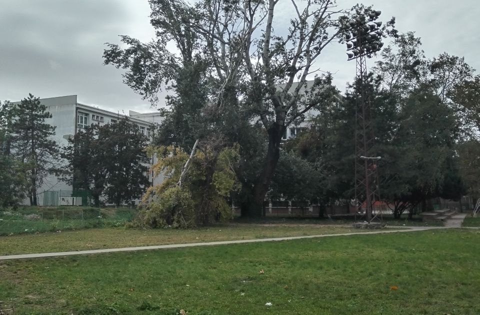 Recite nam: Na kojim lokacijama i dalje nisu sanirane posledice oluja u Novom Sadu? 