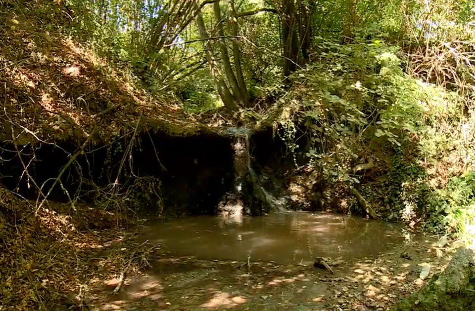 Nekada bistar, sada neretko beo i zamućen: Elvirin vodopad na Fruškoj gori promenio boju