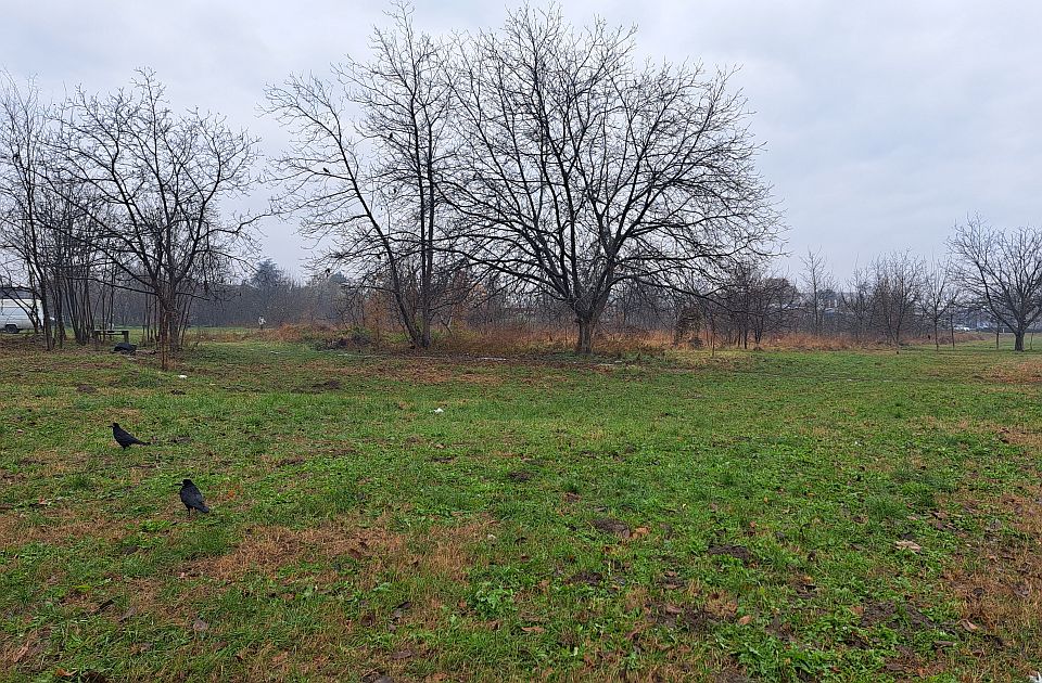 FOTO Kakav park bi Telep na kraju mogao da dobije: Prostor za rekreaciju, javni toalet...