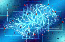 Neuralink Ilona Maska radi na novom implantu za mozak: Manje rizika po onoga kome bude ugrađen