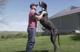 Uginuo najviši pas na svetu