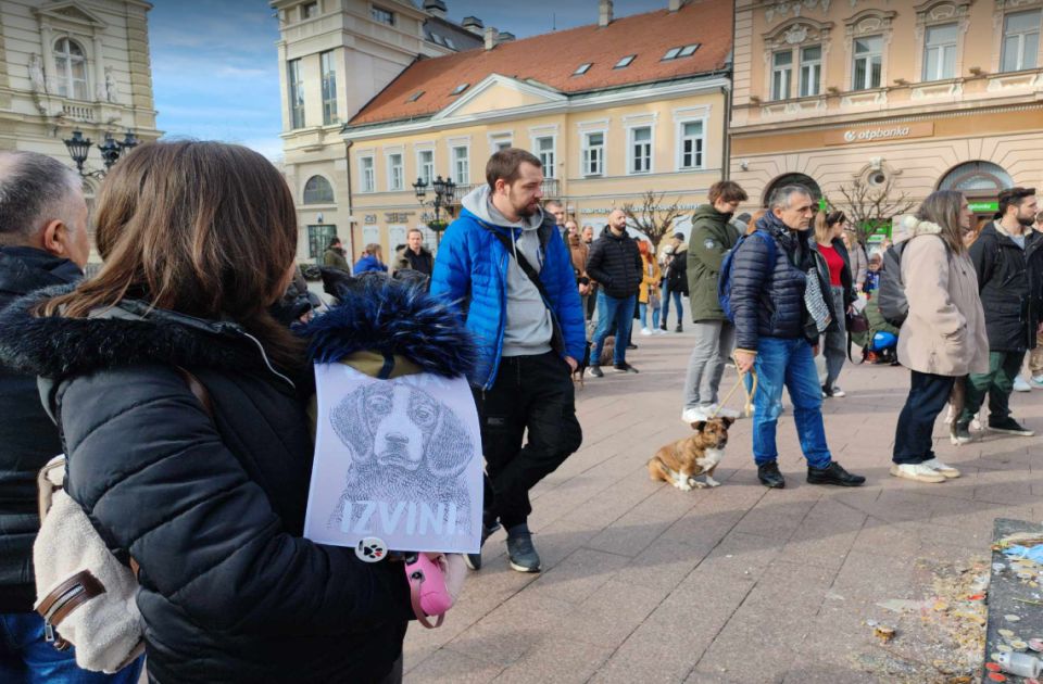 FOTO, VIDEO: Novosađani i njihovi ljubimci sa 16 minuta tišine odali počast pregaženom psu Doni