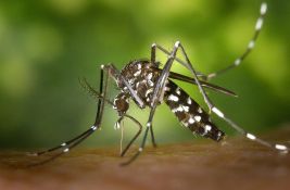 Prskanje komaraca u Novom Sadu, Beočinu i Karlovcima između 20. juna i 5. jula