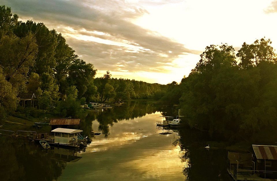 Večeras prskanje komaraca iz vazduha u Novom Sadu 