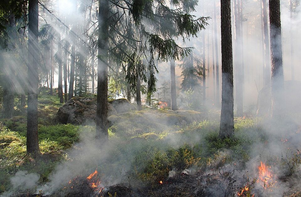 Turisti vatrometom sa jahte izazvali šumski požar na ostrvu Hidra