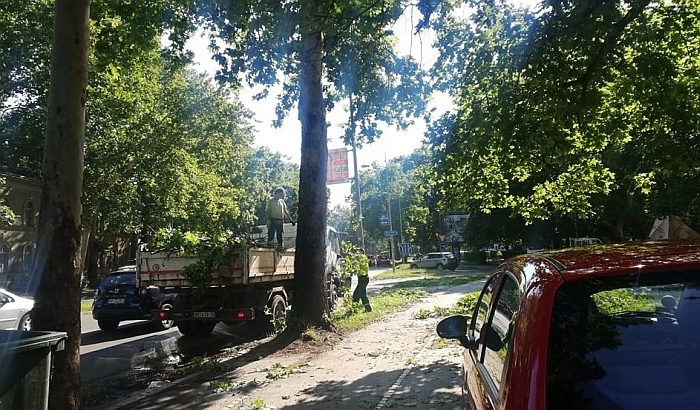 FOTO: Saniraju se posledice oluje u Novom Sadu, moguće prijaviti štetu gradskim službama