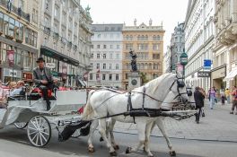 Austrija planira da na leto dozvoli posete turistima