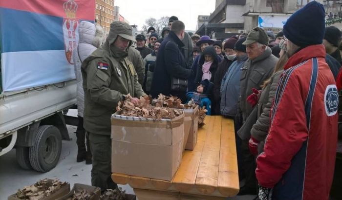 Podela besplatnih badnjaka s Fruške gore