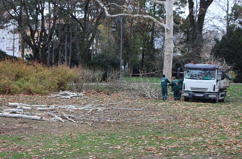 Saznajemo: Pomoćnik direktora "Zelenila" priznao nameštanje tendera od 55 miliona, poznata i kazna