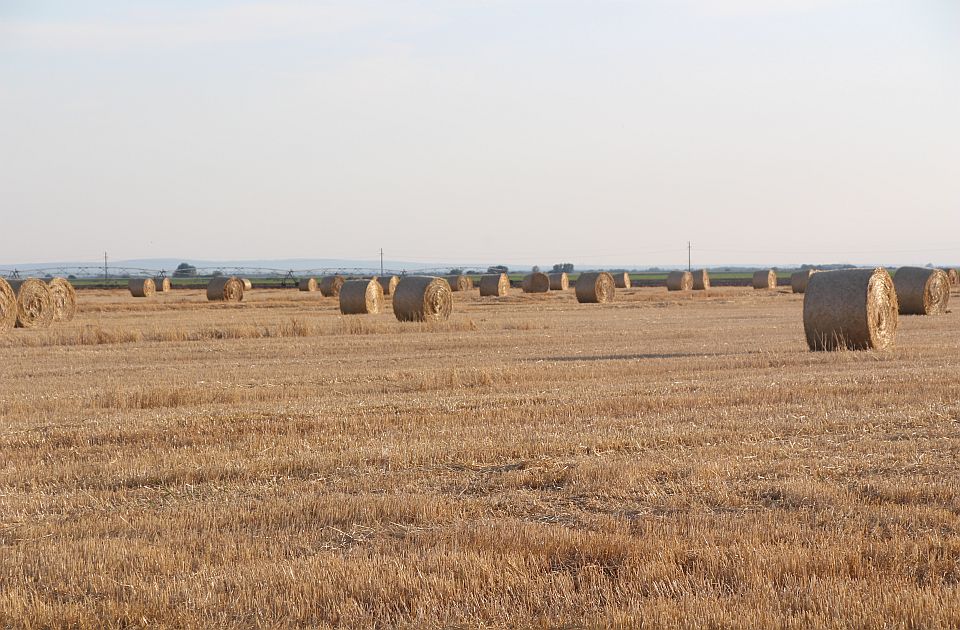 Opstanak u ruralnim naseljima zavisi od pojedinca, ali i od pomoći države