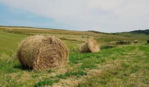 Popust u DDOR-u za osiguranje poljoprivrede uz NIS Agro karticu