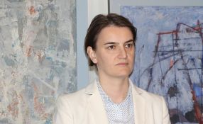 Brnabić: Privatnik ne može da prečišćava vodu u Zrenjaninu, traži se rešenje